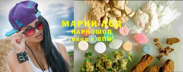 ПСИЛОЦИБИНОВЫЕ ГРИБЫ Новозыбков